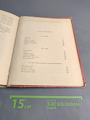 Гребень буйвола