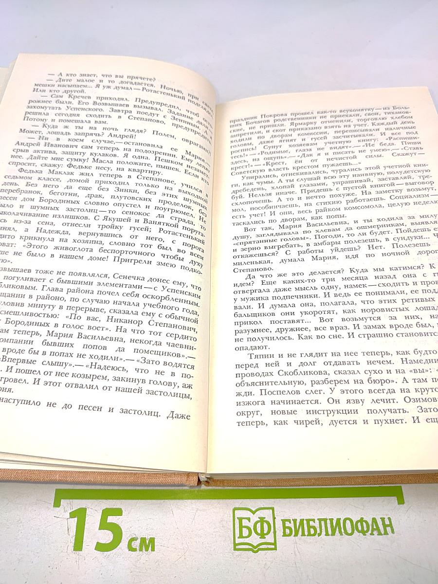 Собрание сочинений. Том четвертый. Мужики и бабы. Книга вторая. Очерк. Статья