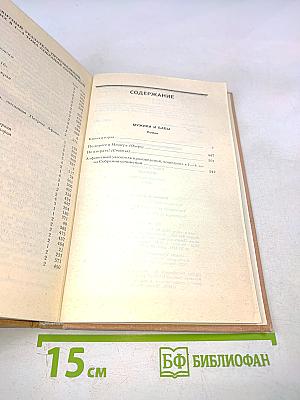Собрание сочинений. Том четвертый. Мужики и бабы. Книга вторая. Очерк. Статья