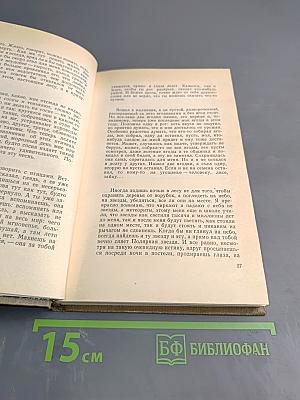 Осень и Весна. Записки лесника