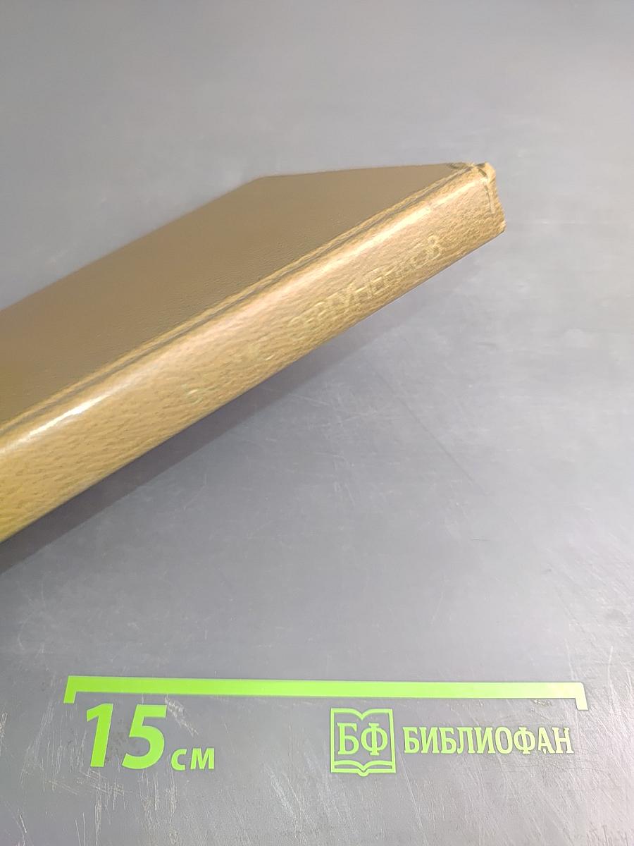 Осень и Весна. Записки лесника