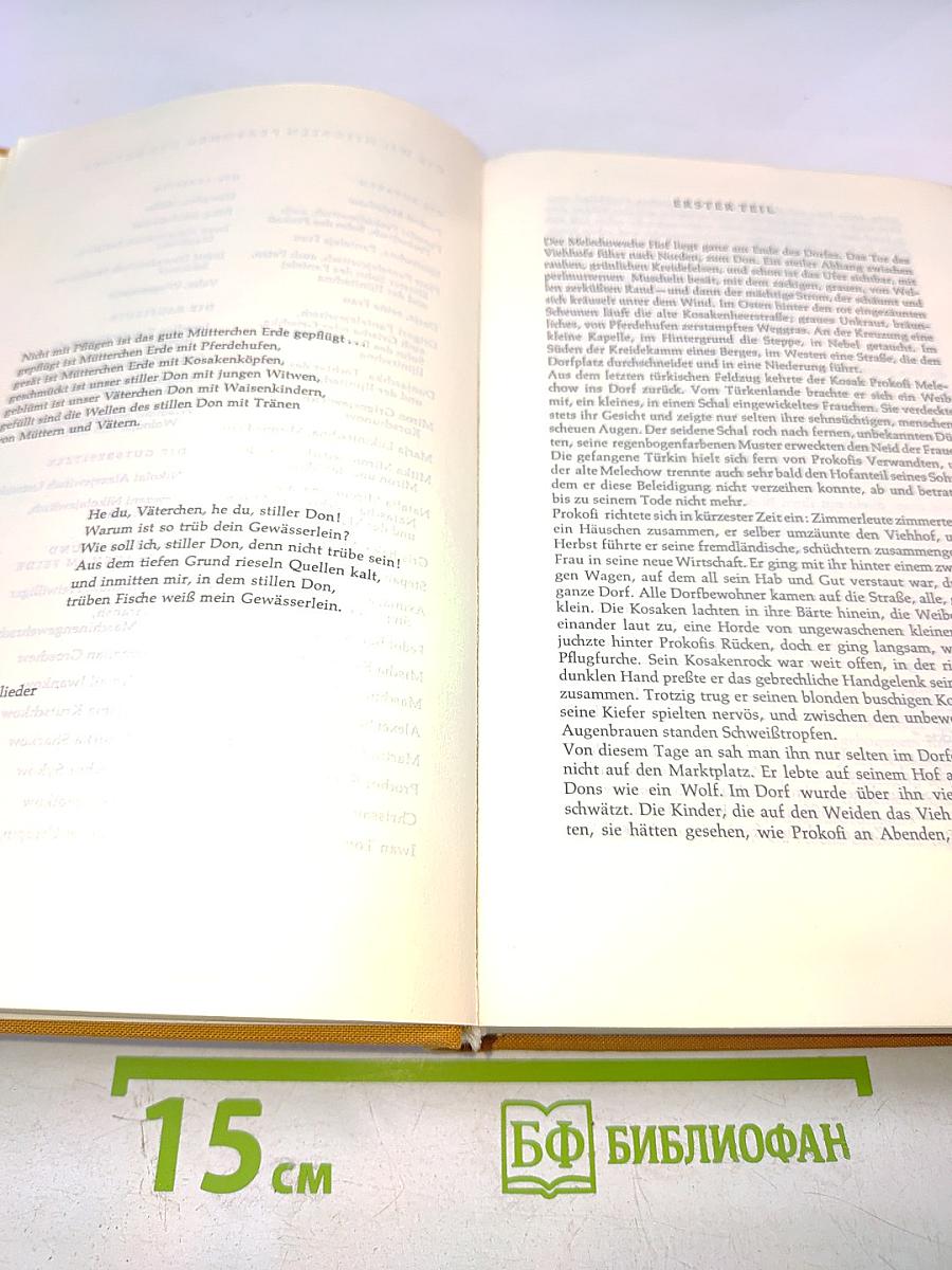 Der Stille Don Band 1