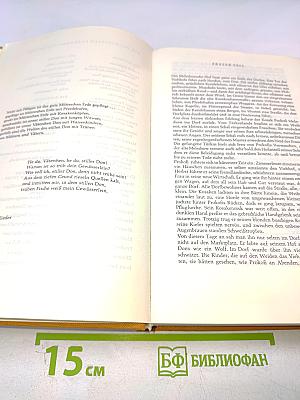 Der Stille Don Band 1