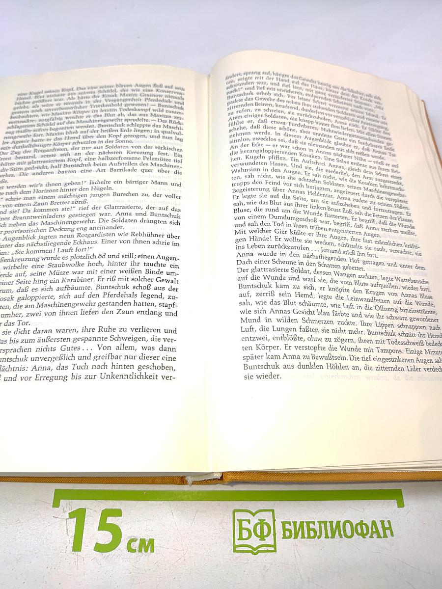 Der Stille Don Band 1