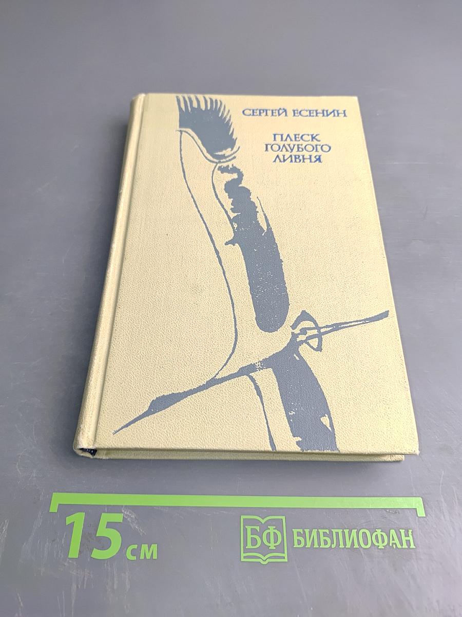 Плеск голубого ливня