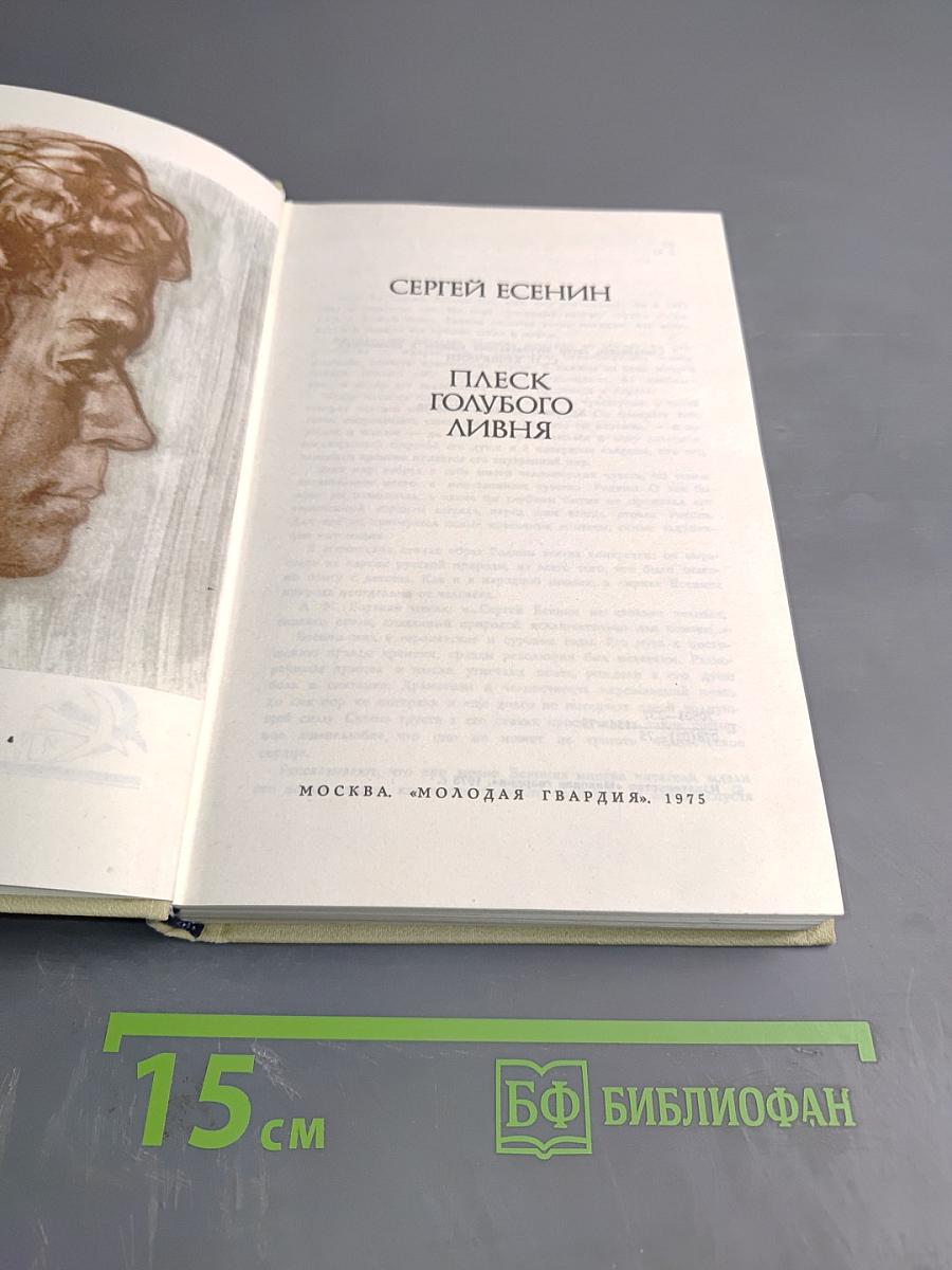 Плеск голубого ливня