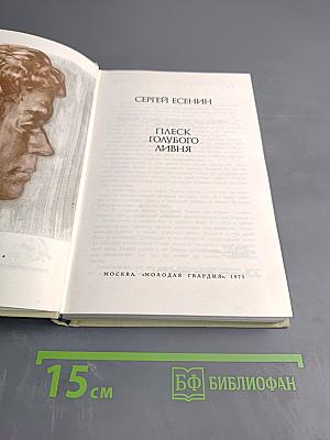 Плеск голубого ливня