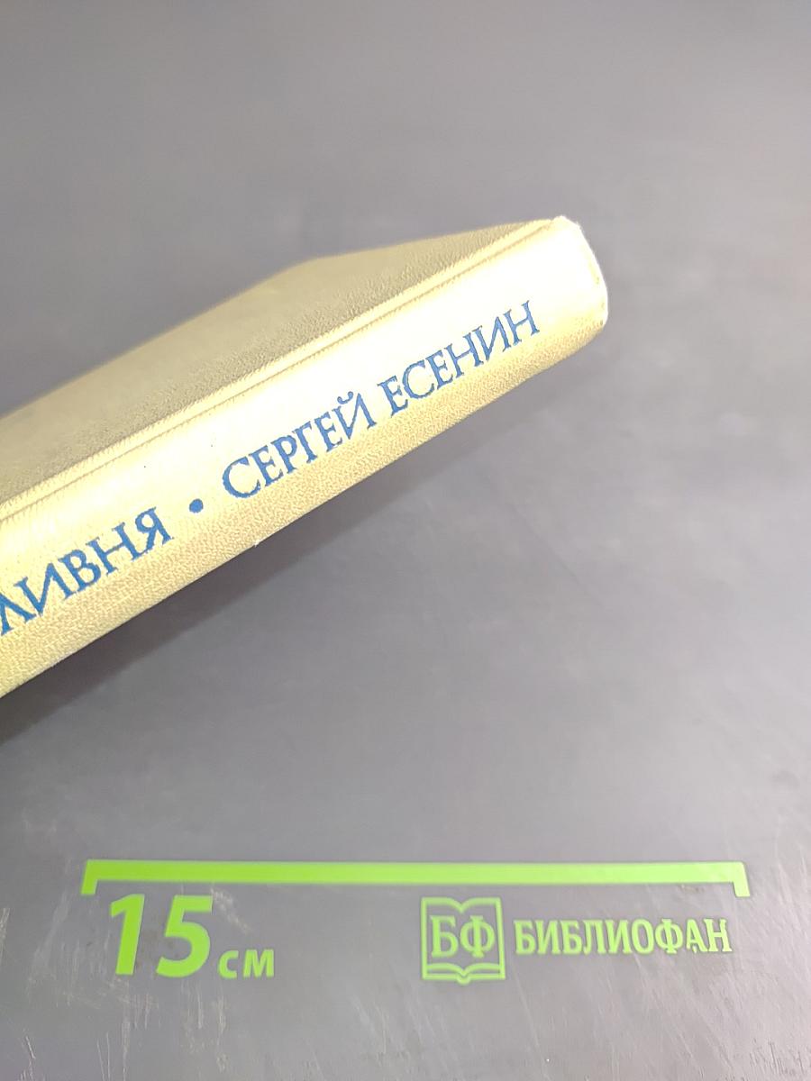 Плеск голубого ливня