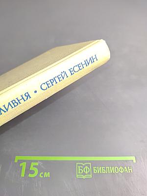 Плеск голубого ливня