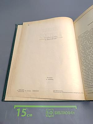 Человек в футляре. Повести и рассказы