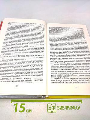 Бандитский Петербург. Адвокат