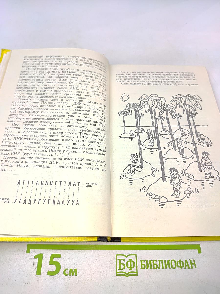 Беседы о жизни