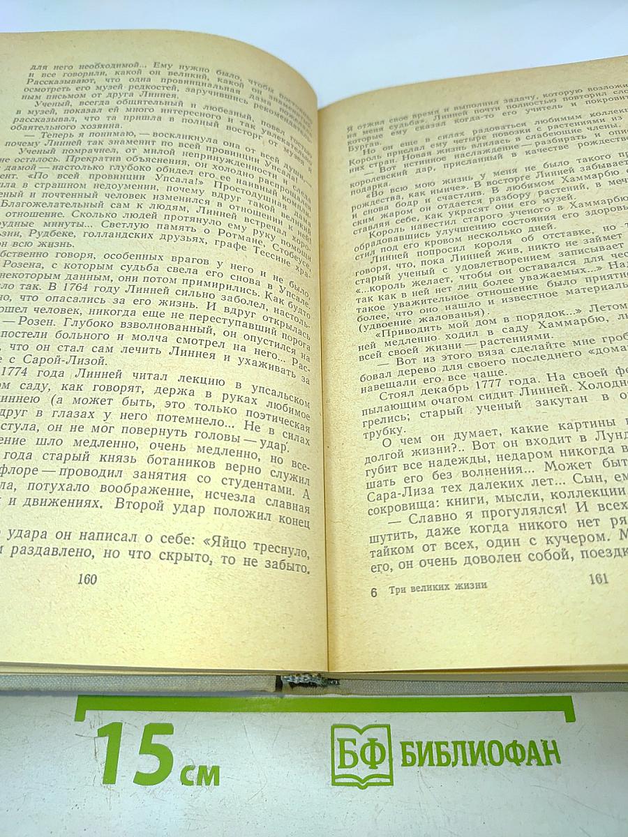 Три великих жизни