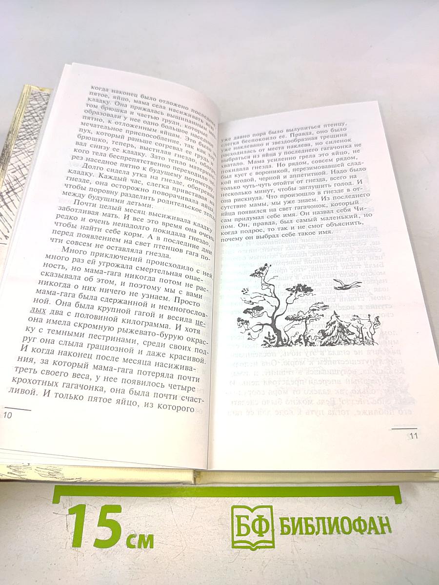 Летящие к северу