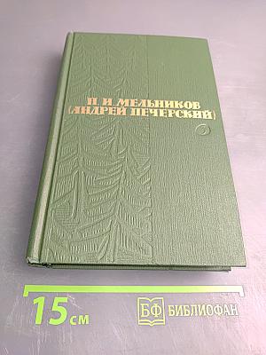 В лесах. Книга вторая. Том 3
