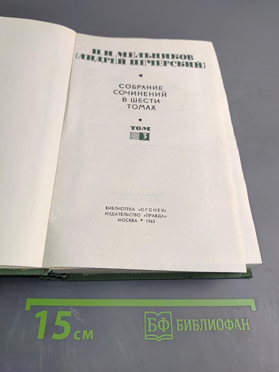 В лесах. Книга вторая. Том 3