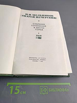 В лесах. Книга вторая. Том 3