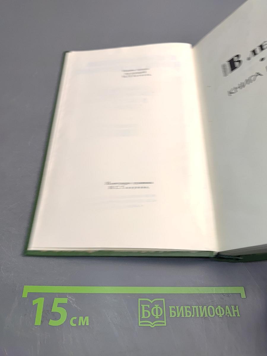 В лесах. Книга вторая. Том 3