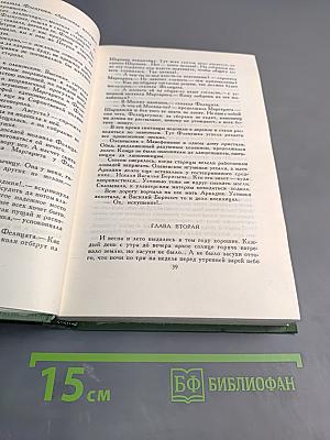 В лесах. Книга вторая. Том 3