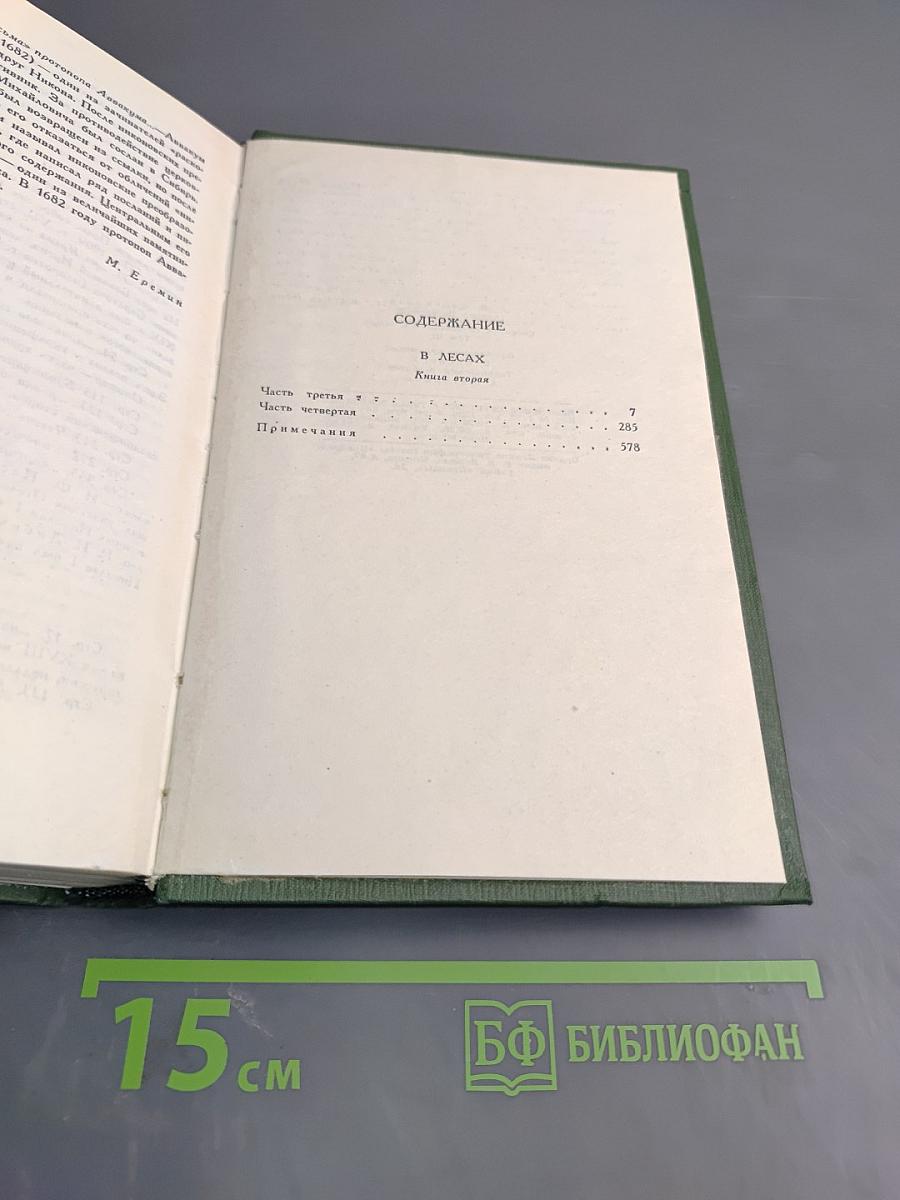 В лесах. Книга вторая. Том 3