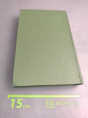 В лесах. Книга вторая. Том 3