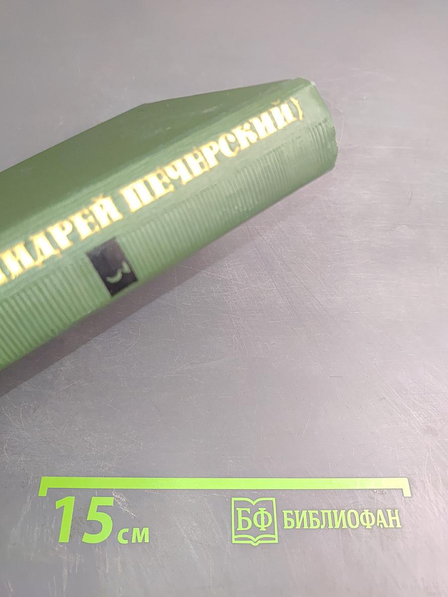 В лесах. Книга вторая. Том 3