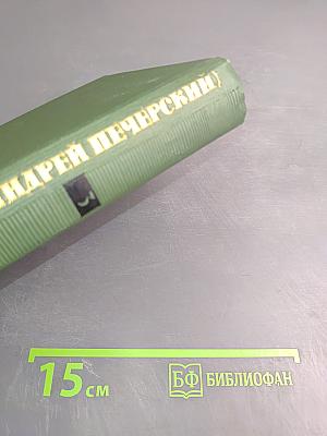 В лесах. Книга вторая. Том 3