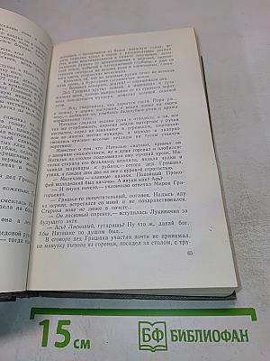 Тихий Дон. Том первый