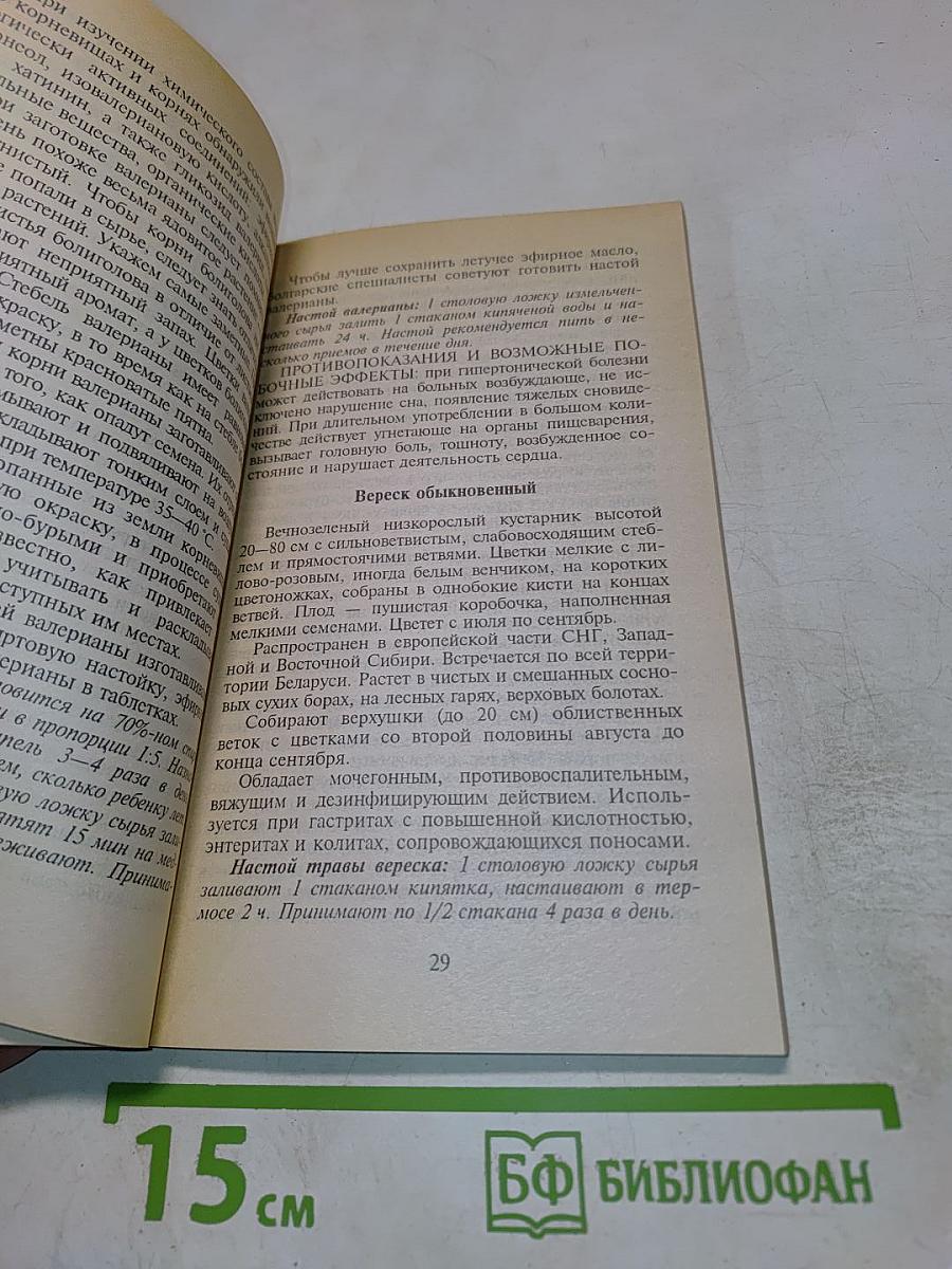 Здоровый желудок. Профилактика и лечение растительными средствами