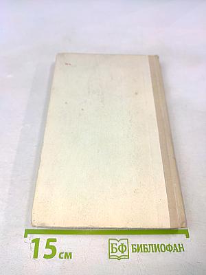 В паре с "Сотым"