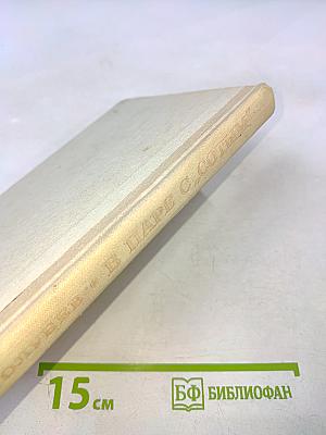 В паре с "Сотым"