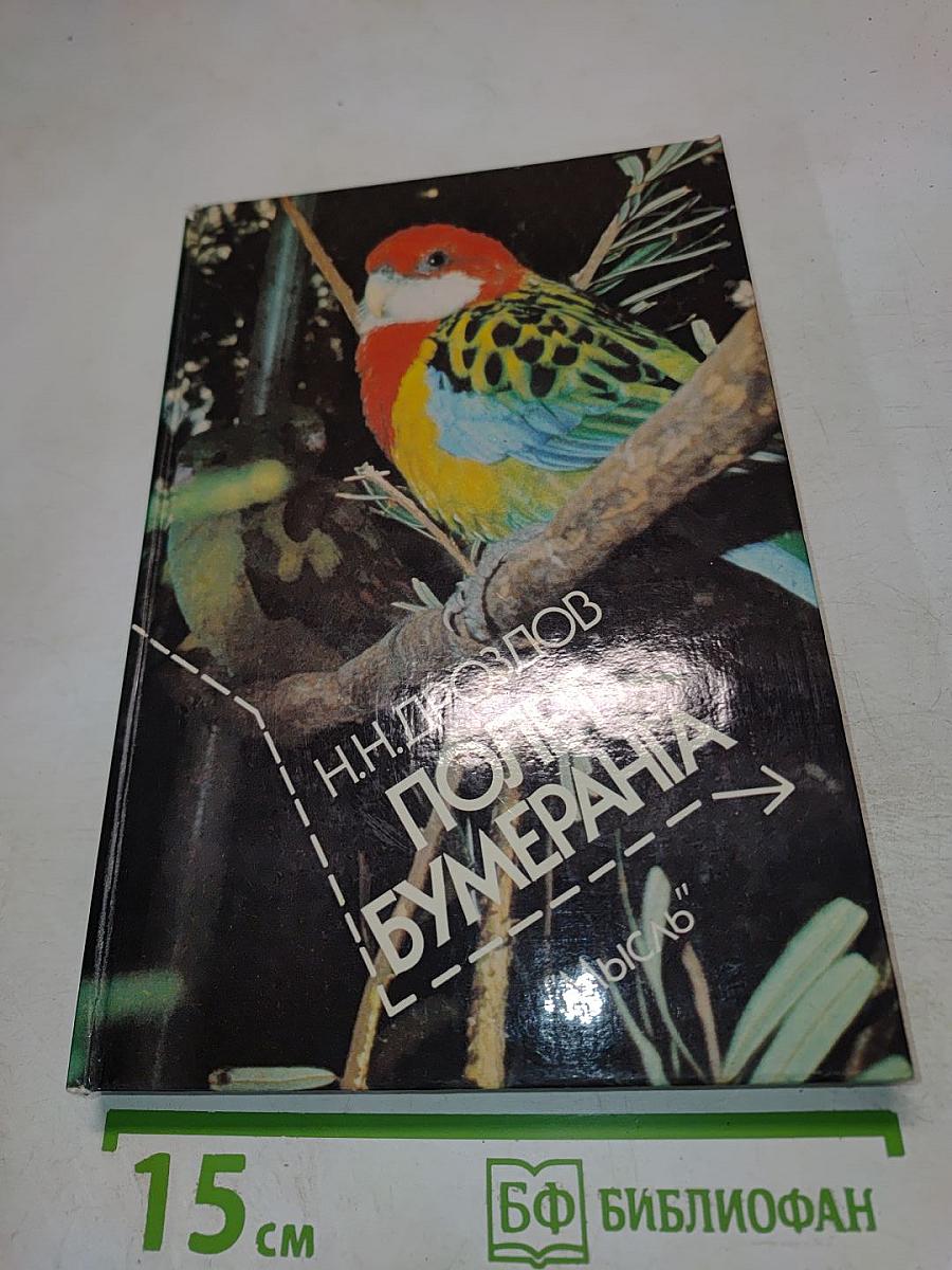 Полет бумеранга