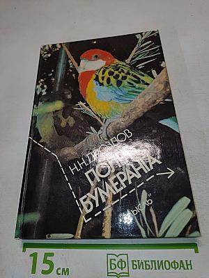 Полет бумеранга