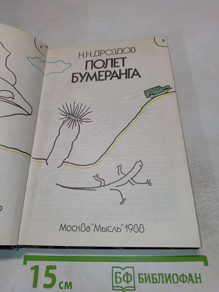 Полет бумеранга