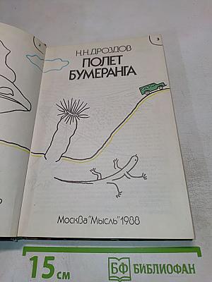 Полет бумеранга