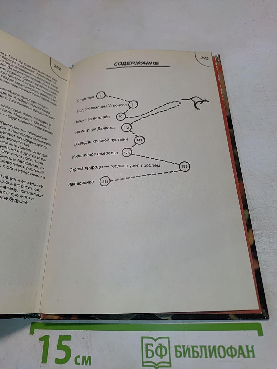 Полет бумеранга