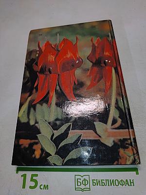 Полет бумеранга