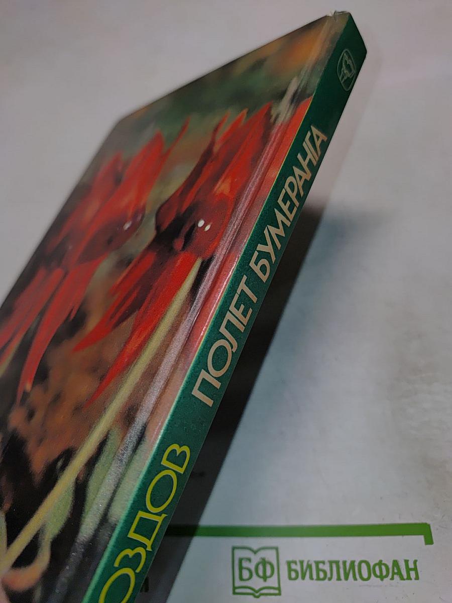 Полет бумеранга