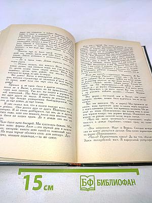 Огонь (Дневник взвода)