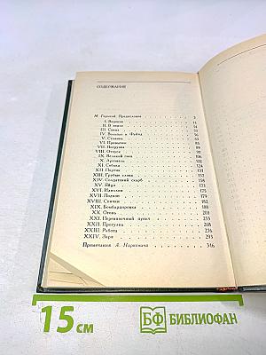 Огонь (Дневник взвода)