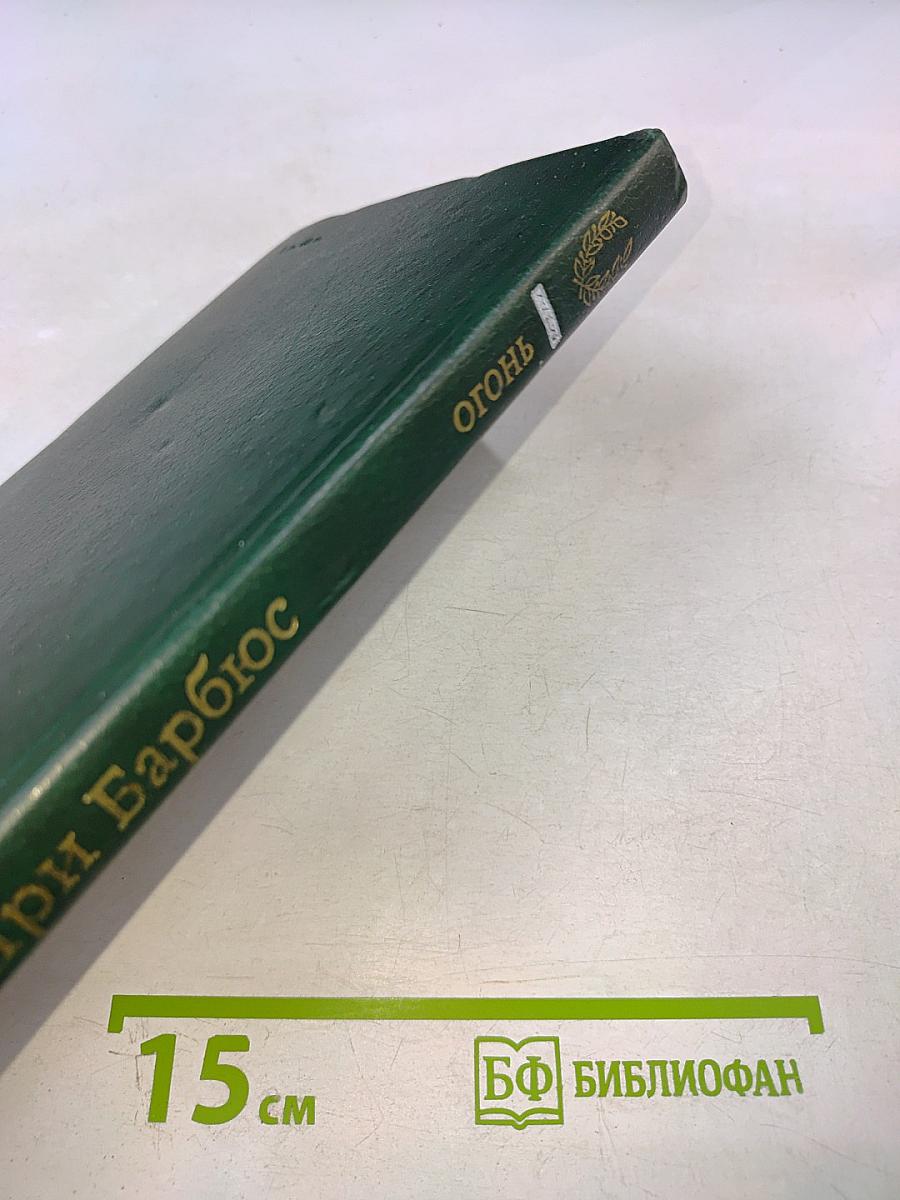 Огонь (Дневник взвода)