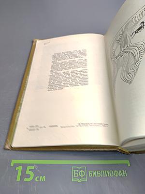 Осень белых голубей