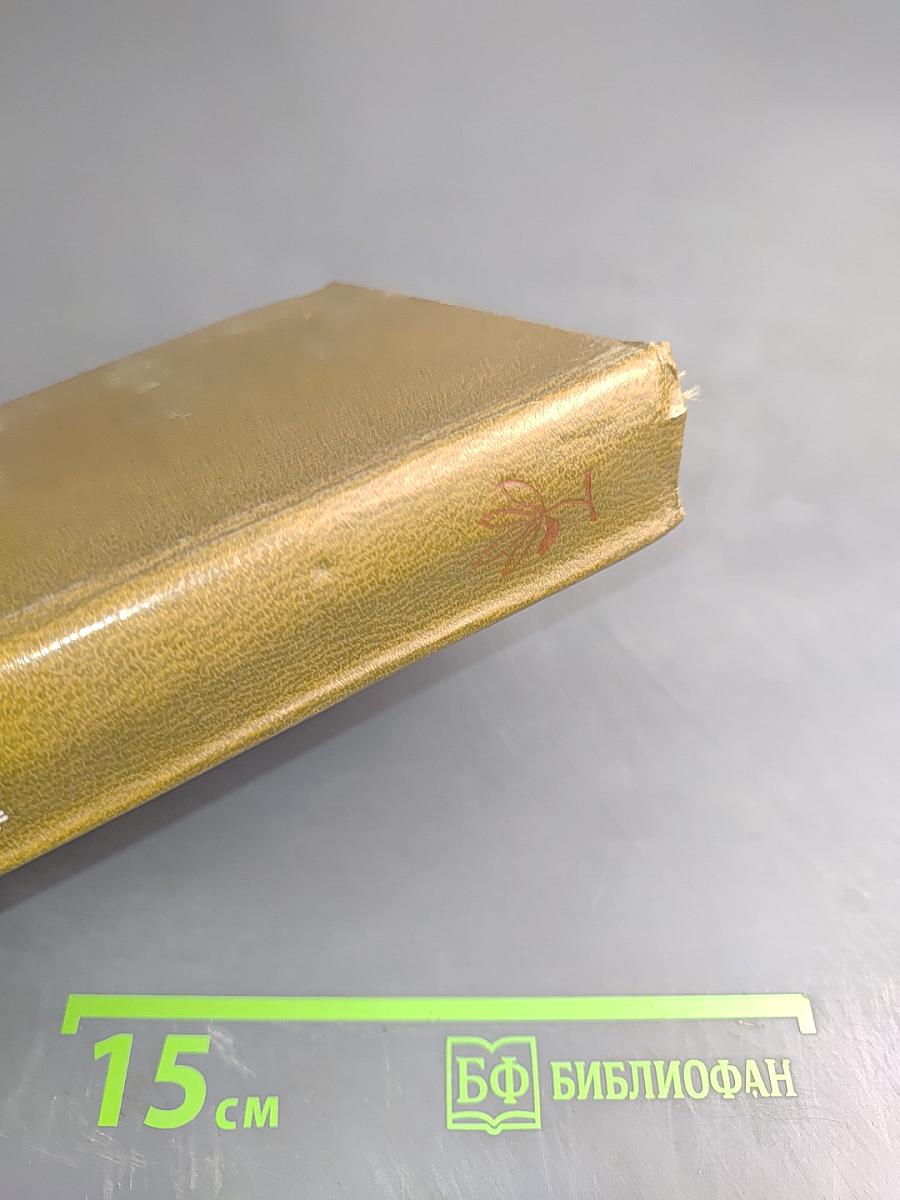 Осень белых голубей