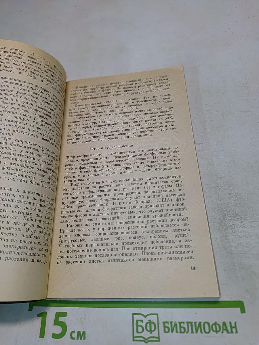 Растения и чистота природной среды