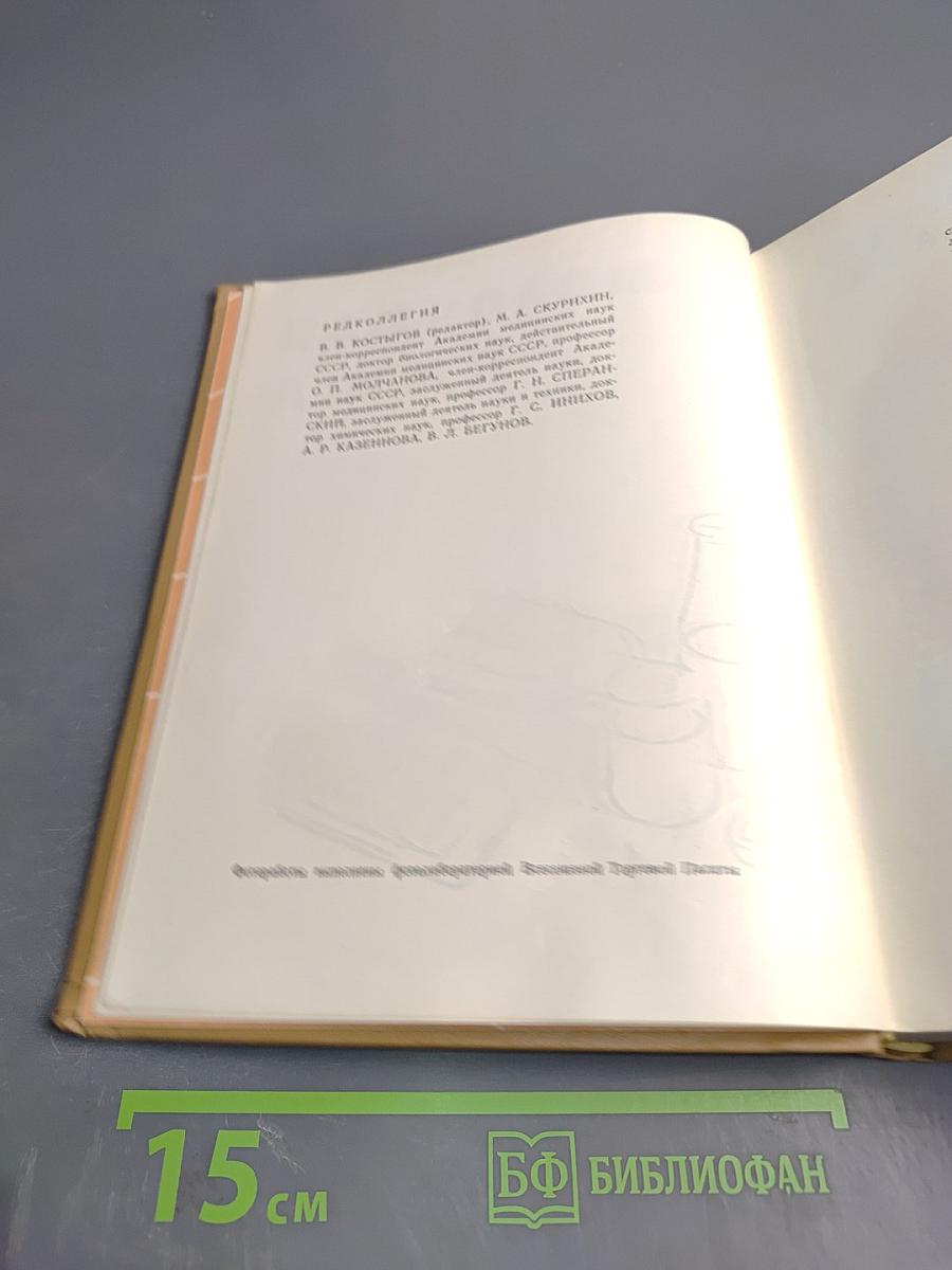 Молочная пища