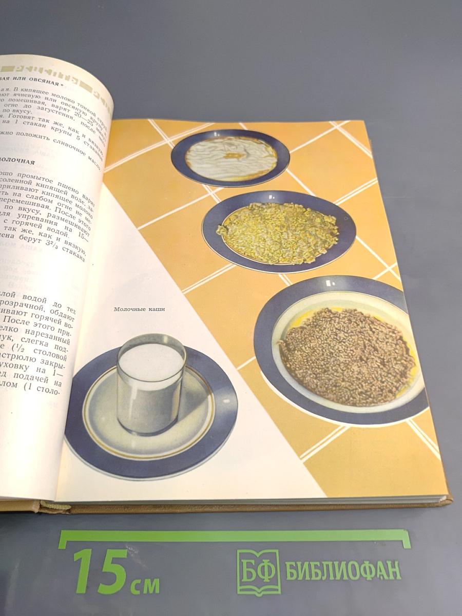 Молочная пища