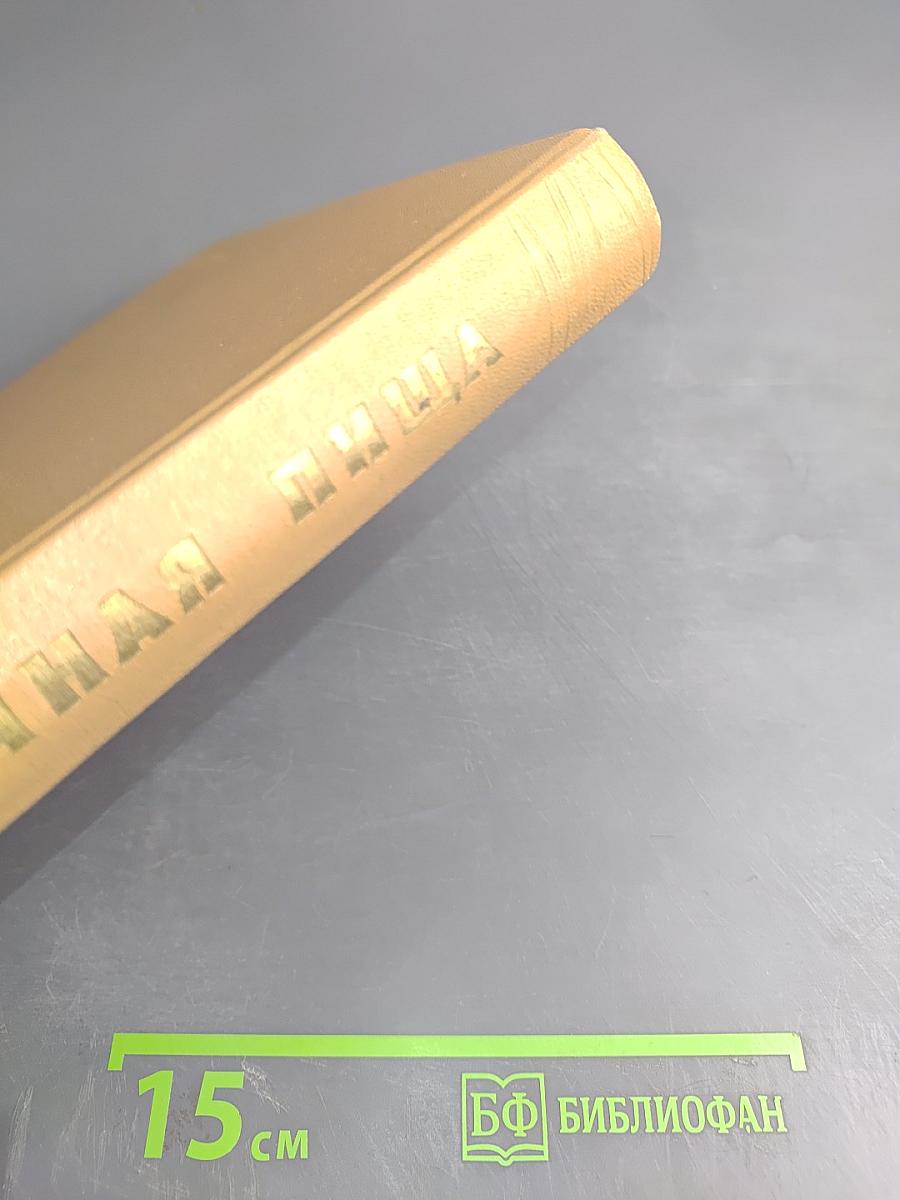 Молочная пища