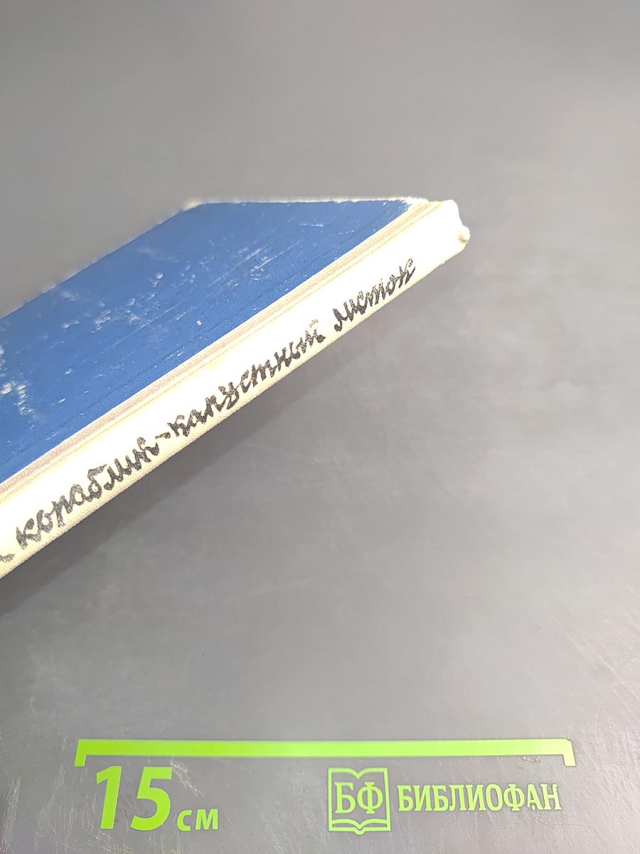 Лёгкий кораблик - капустный листок