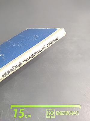 Лёгкий кораблик - капустный листок