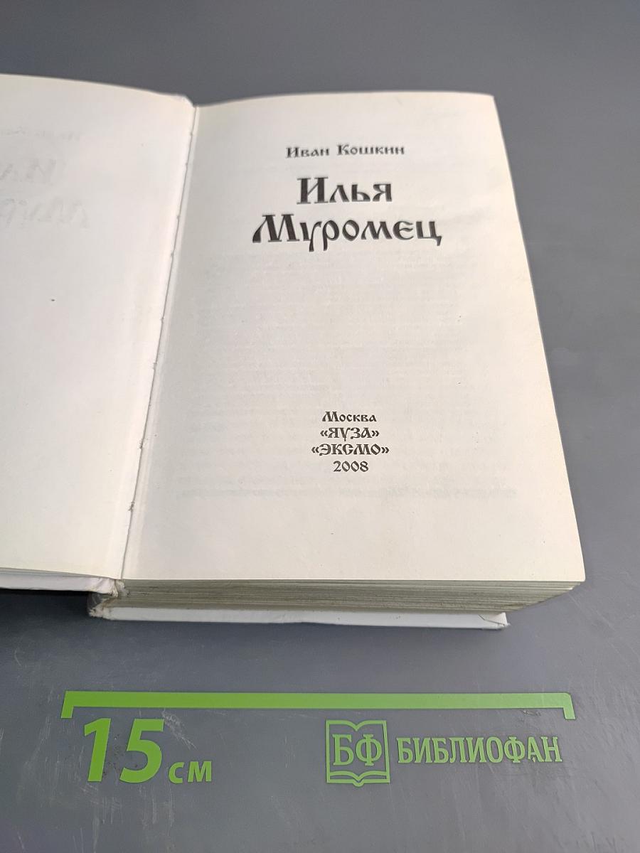 Илья Муромец